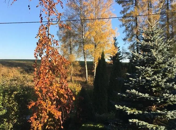 Konciny * Kunvald